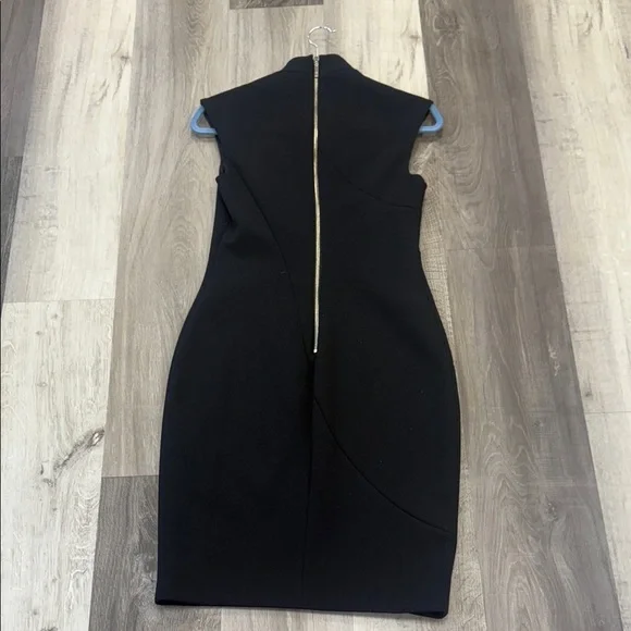 ❄️Ted Baker London Black Dress - Picture 5 of 5